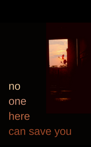 no one here can save you by N.W. Downs