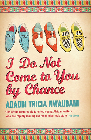 I Do Not Come to You by Chance by Adaobi Tricia Nwaubani