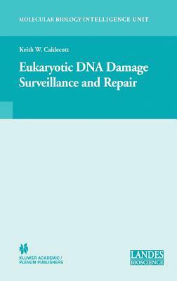 Eukaryotic DNA Damage Surveillance and Repair by 