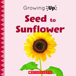 Seed to Sunflower (Growing Up) by Scholastic, Inc, Lisa M. Herrington