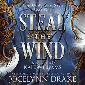 Steal the Wind by Jocelynn Drake