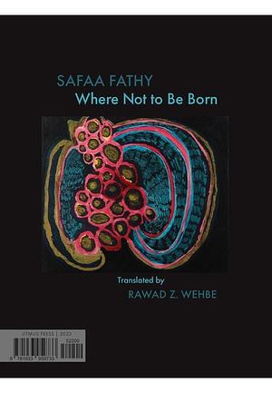 Where Not to Be Born by Safaa Fathy