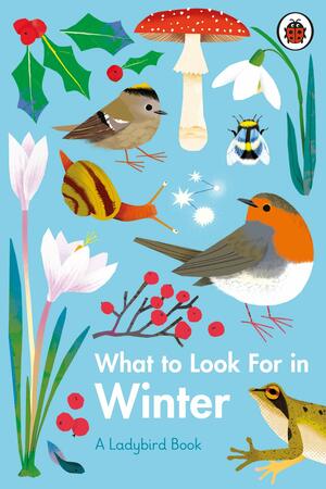What to Look For in Winter by Elizabeth Jenner