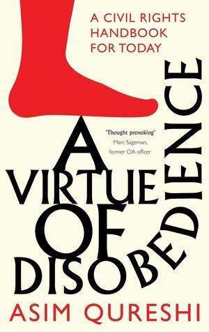 A Virtue Of Disobedience by Asim Qureshi, Mark Mecob