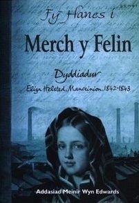 Merch y felin: Dyddiadur Eliza Helsted, Manceinion, 1842-1843 by Meinir Wyn Edwards, Sue Reid