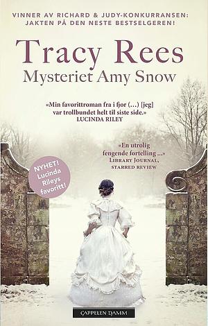 Mysteriet Amy Snow by Tracy Rees