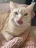 mbenoos_'s profile picture