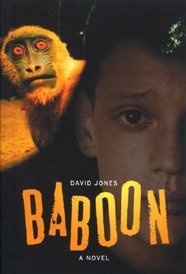 Baboon by David Jones