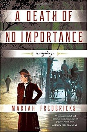 A Death of No Importance by Fredericks, Fredericks