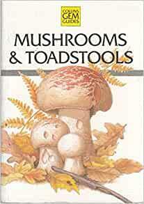 Gem Guide to Mushrooms and Toadstools by Stefan Buczacki, John Wilkinson