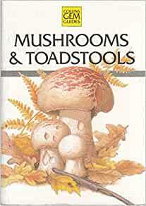 Gem Guide to Mushrooms and Toadstools by John Wilkinson, Stefan Buczacki