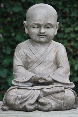 Buddhism by Wild Pages Press Journals &. Notebooks