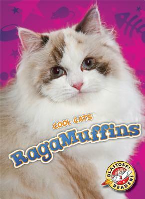 RagaMuffins by Betsy Rathburn