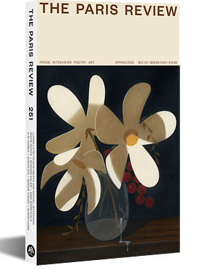 The Paris Review Issue 251 by Emily Stokes