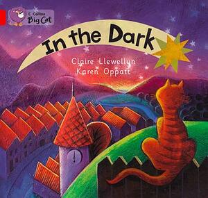 In the Dark Workbook by Claire Llewellyn