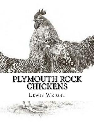 Plymouth Rock Chickens: From The Book of Poultry by Lewis Wright