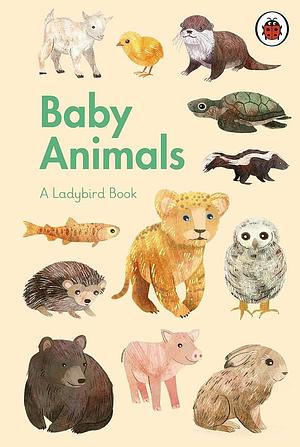 Baby Animals by Libby Walden
