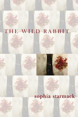 The Wild Rabbit by Sophia Starmack