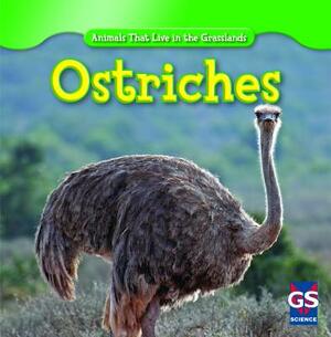 Ostriches by Therese Harasymiw