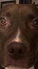 kmschutte95's profile picture