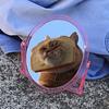 violetferret's profile picture