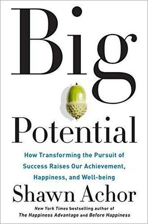 Big Potential: How Transforming the Pursuit of Success Raises Our Achievement, Happiness, andWell-Being by Shawn Achor, Shawn Achor