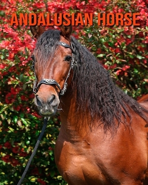 Andalusian Horse: Children Book of Fun Facts & Amazing Photos by Kayla Miller