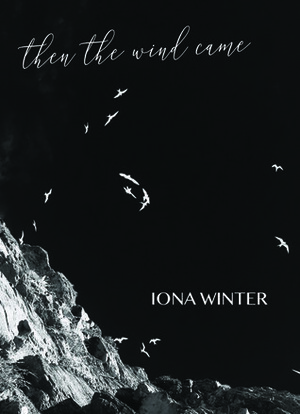 Then The Wind Came by Iona Winter