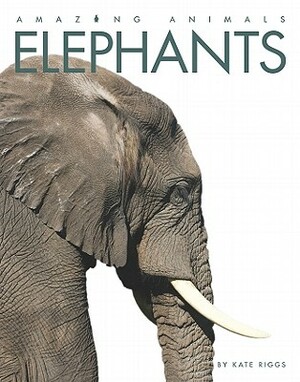 Elephants by Kate Riggs