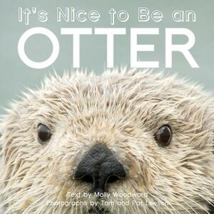 It's Nice to Be an Otter by Molly Woodward