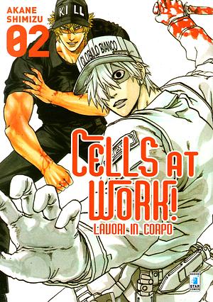 Cells at work! Lavori in corpo, Volume 2 by Akane Shimizu