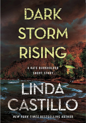 Dark Storm Rising by Linda Castillo