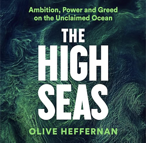 The High Seas: Ambition, Power and Greed on the Unclaimed Ocean by Olive Heffernan