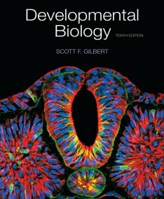 Developmental Biology by Scott F. Gilbert, Michael J. F. Barresi