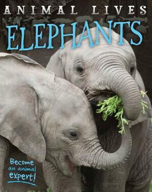 Elephants by Sally Morgan