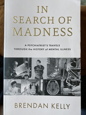In Search of Madness: A Psychiatrist's Travels Through the History of Mental Illness by Brendan Kelly