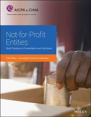 Not-For-Profit Entities: Best Practices in Presentation and Disclosure by Aicpa