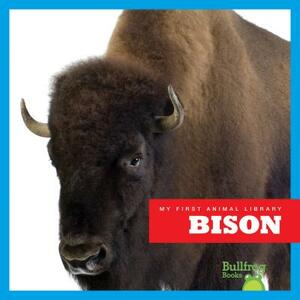 Bison by Cari Meister