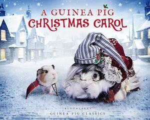 A Guinea Pig Christmas Carol by Charles Dickens, Alex Goodwin, Tess Newall