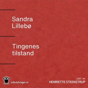 Tingenes tilstand by Sandra Lillebø