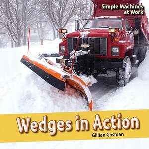 Wedges in Action by Gillian Gosman