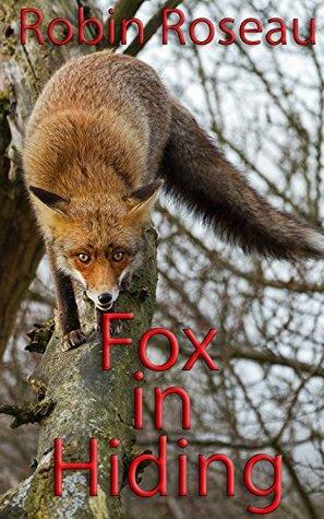 Fox In Hiding by Robin Roseau