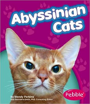 Abyssinian Cats by Wendy Perkins, Gail Saunders-Smith