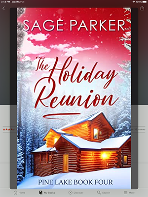 The Holiday Reunion by Sage Parker