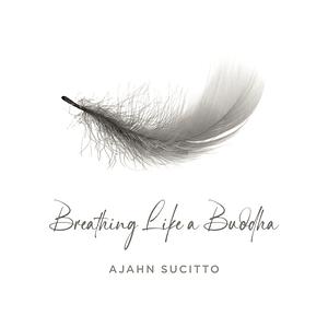 Breathing like a Buddha  by Ajahn Sucitto