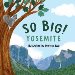 So Big! Yosemite by 