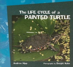 The Life Cycle of a Painted Turtle by Andrew Hipp