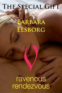 The Special Gift by Barbara Elsborg