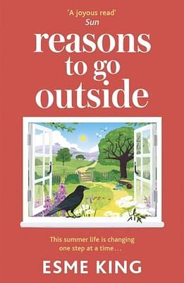 Reasons To Go Outside: an uplifting, heartwarming novel about unexpected friendship and bravery by Esme King, Esme King