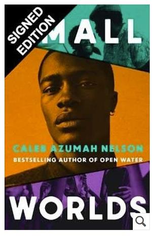 Small Worlds by Caleb Azumah Nelson